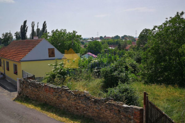 IMG_20190611_144224.jpg