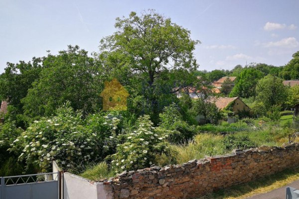 IMG_20190611_144247.jpg