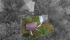 DJI_0524A.jpg